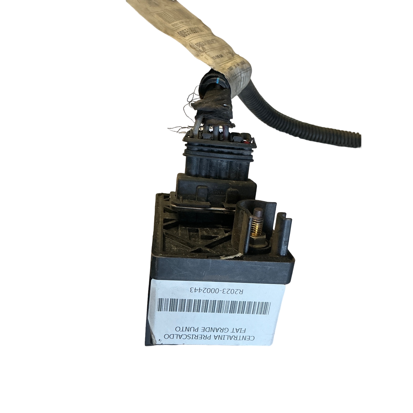 Miniatura 2
