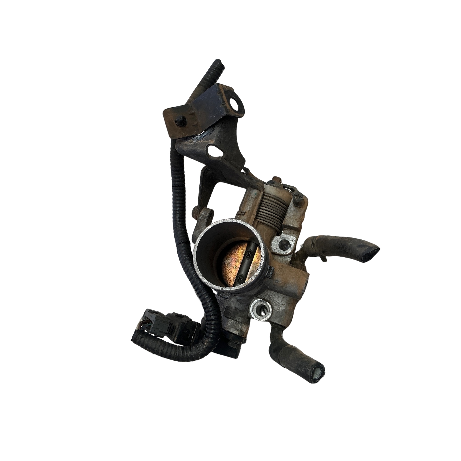 Miniatura 5