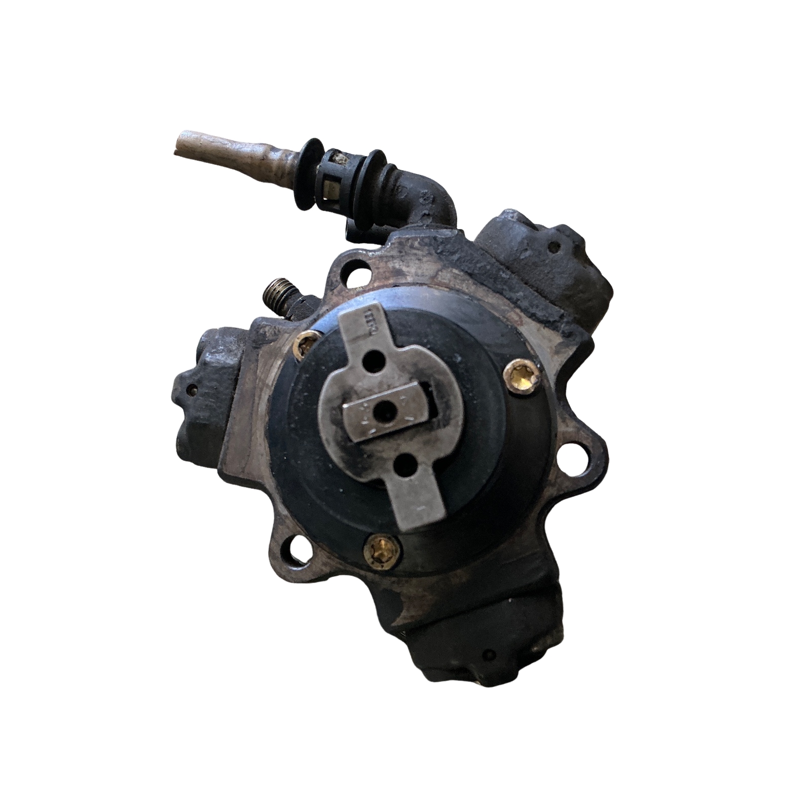 Miniatura 5