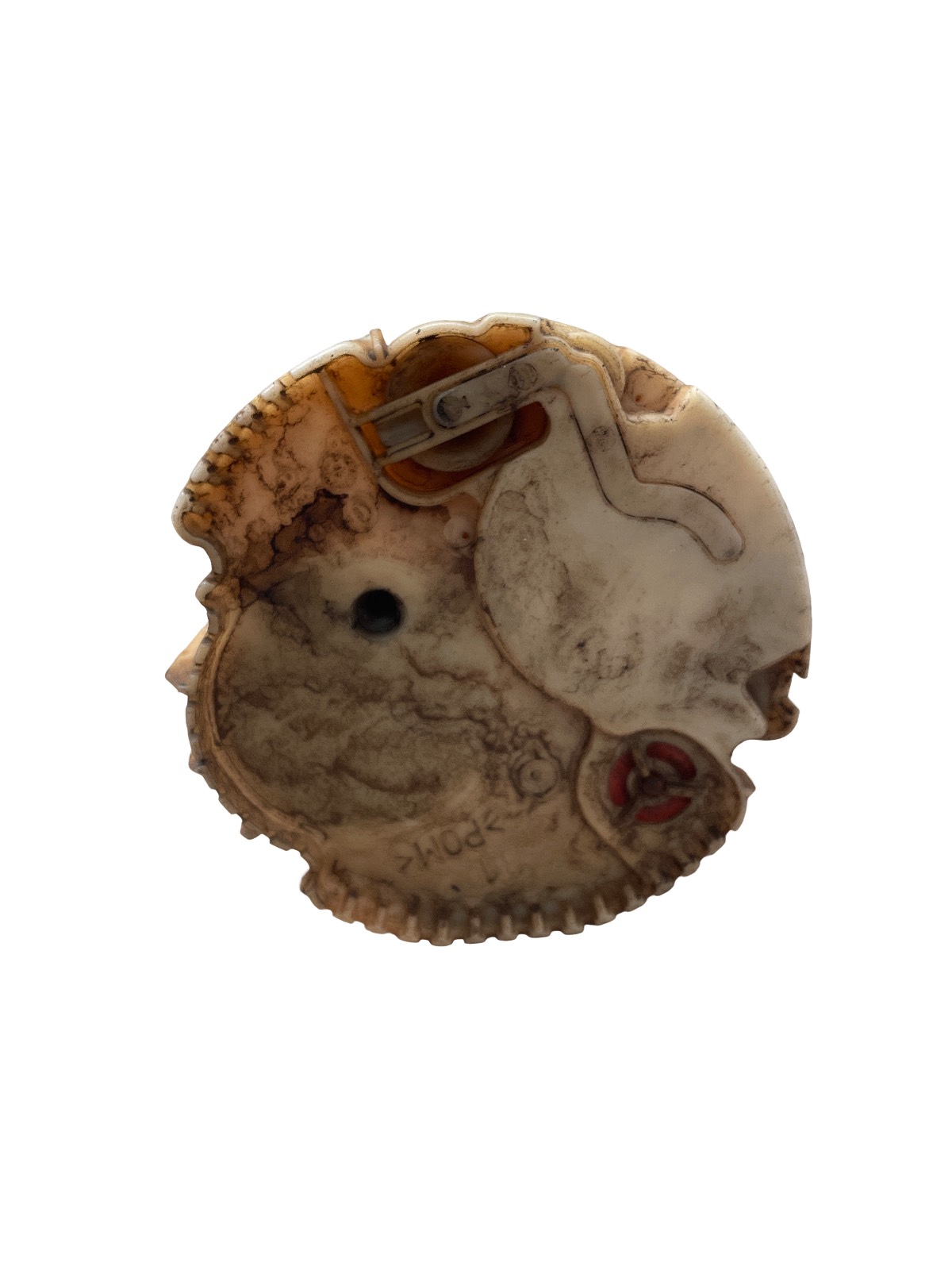 Miniatura 5