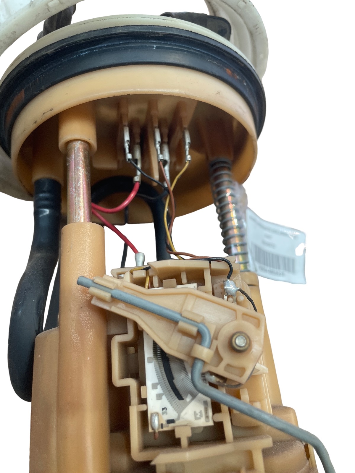 Miniatura 5