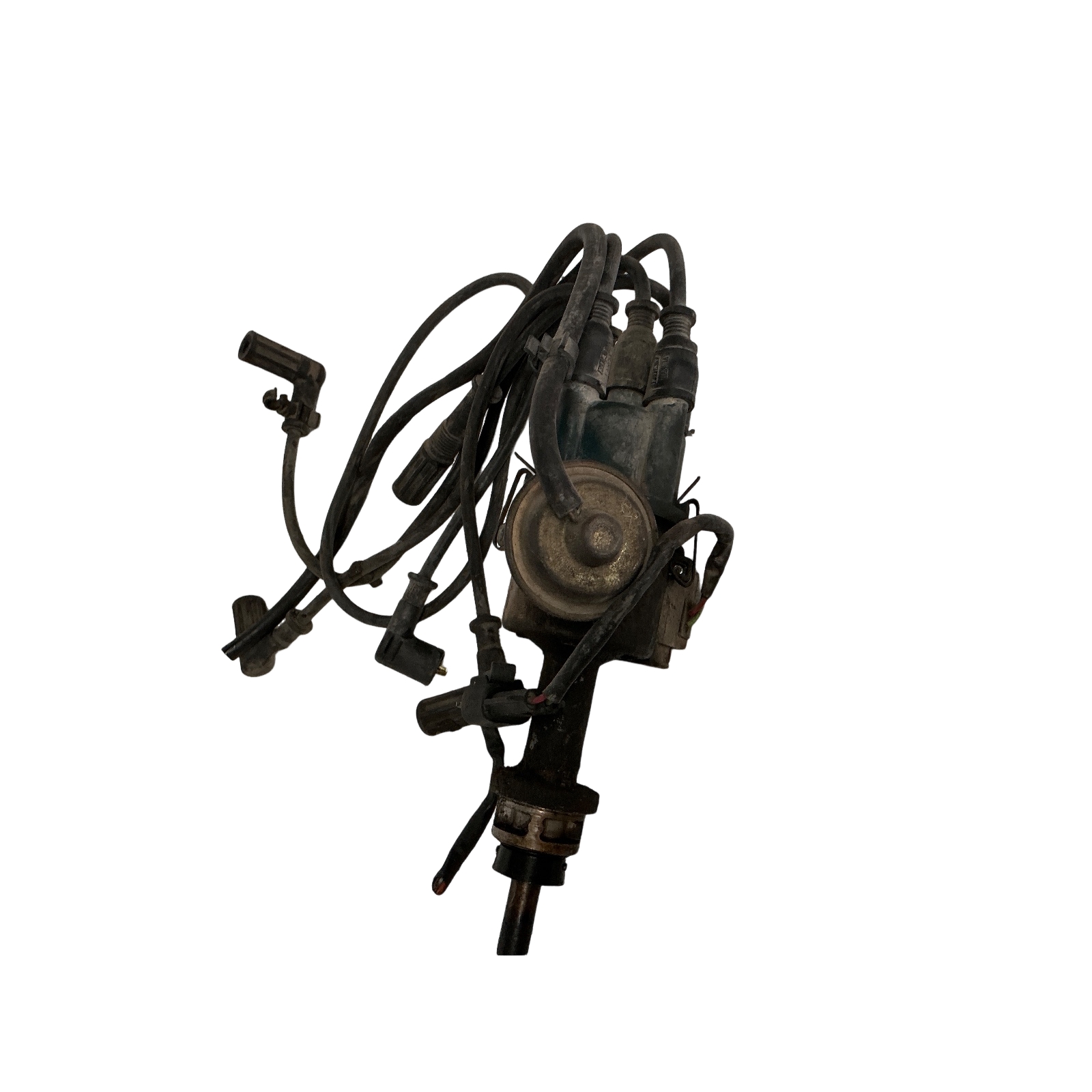 Miniatura 5