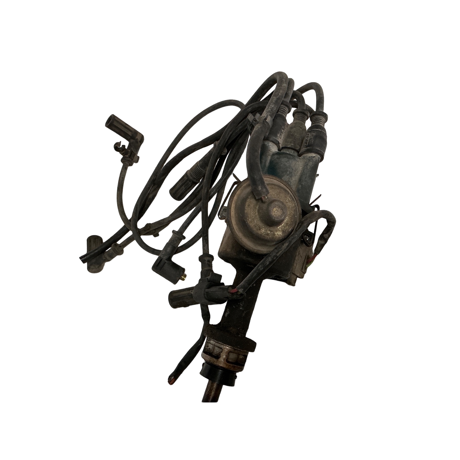 Miniatura 4