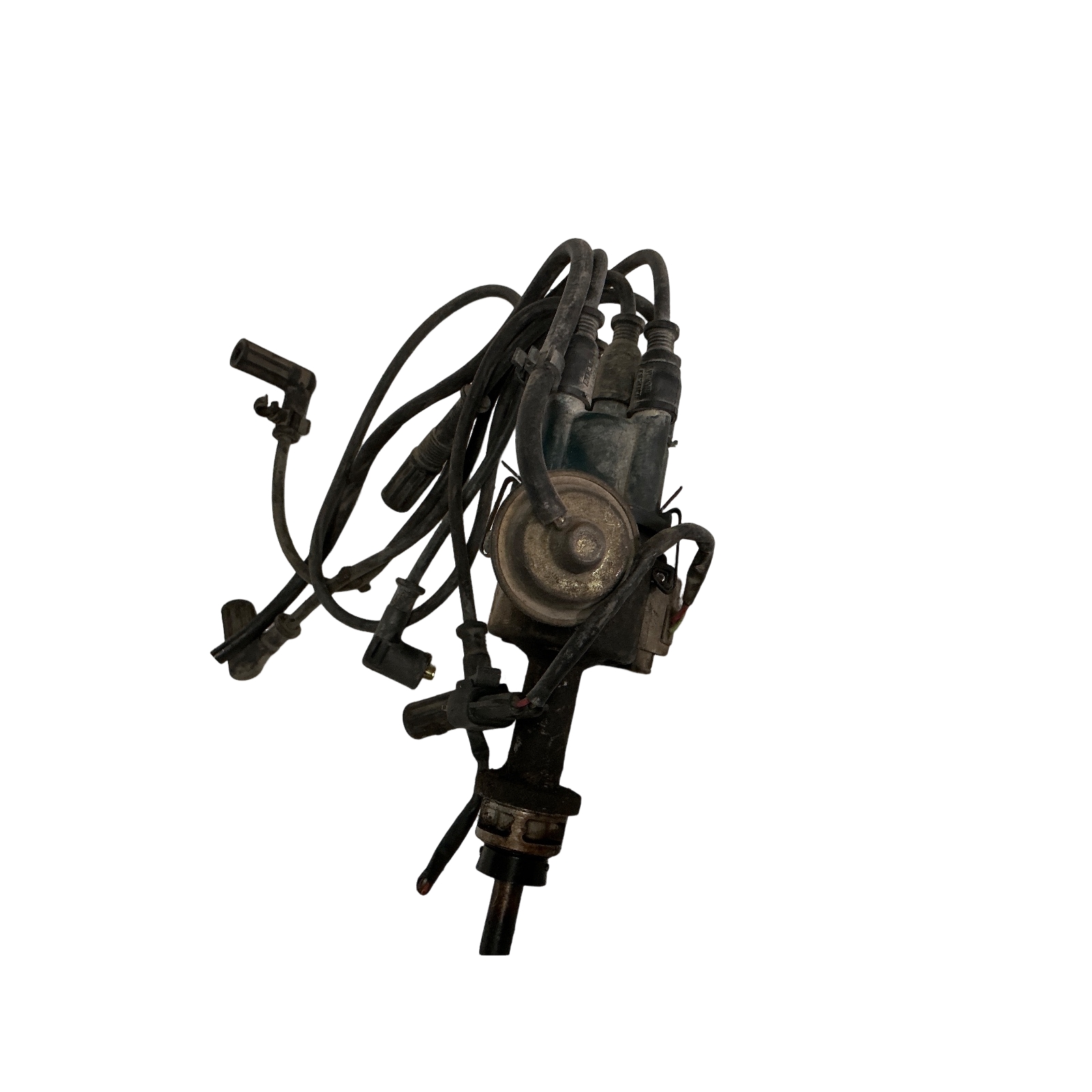 Miniatura 3
