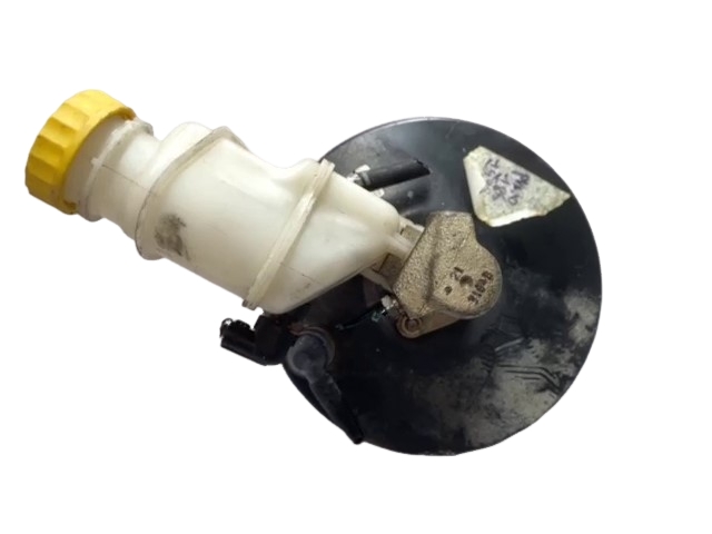 Servofreno (Bosch) 51706333 0204024971 Usato