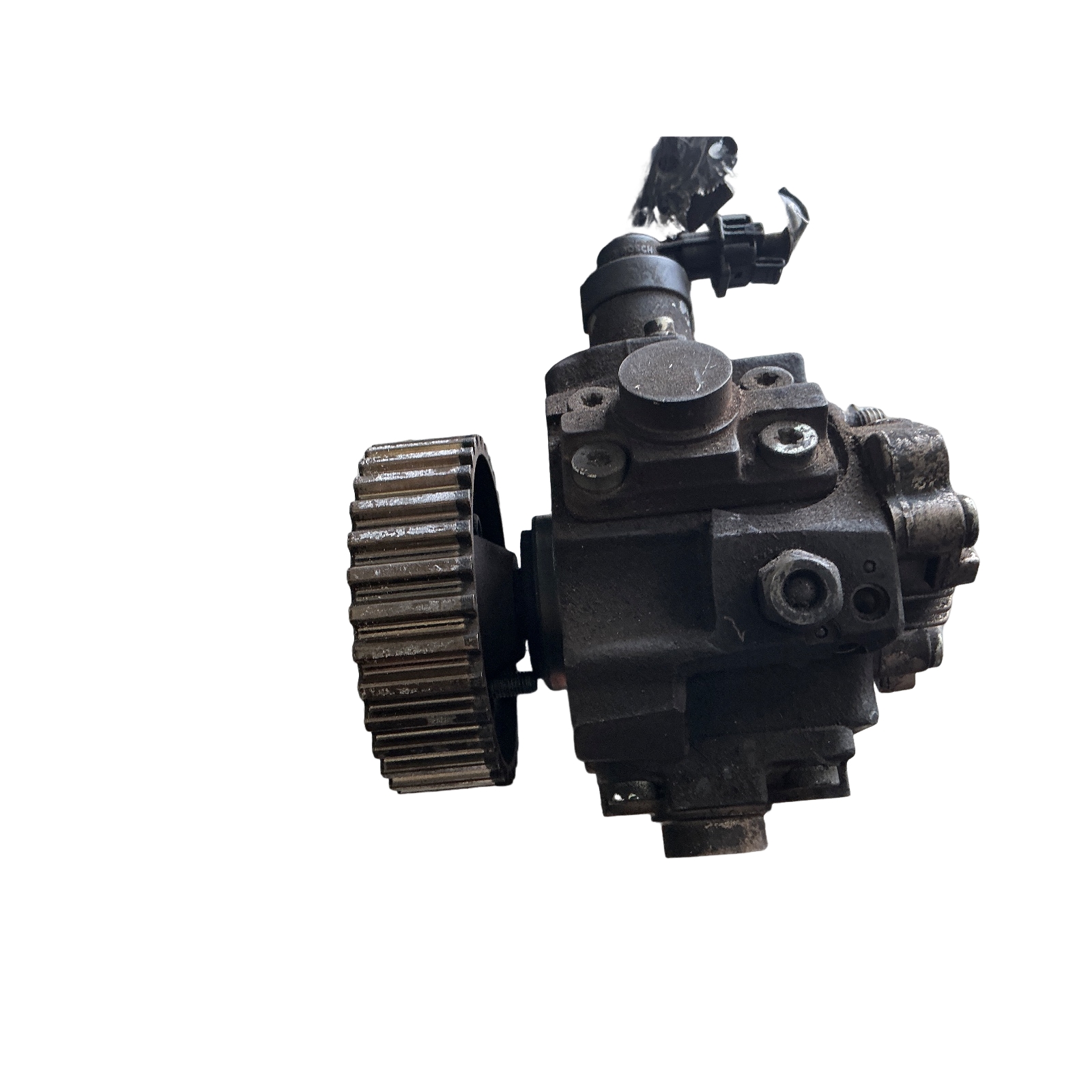 Miniatura 5