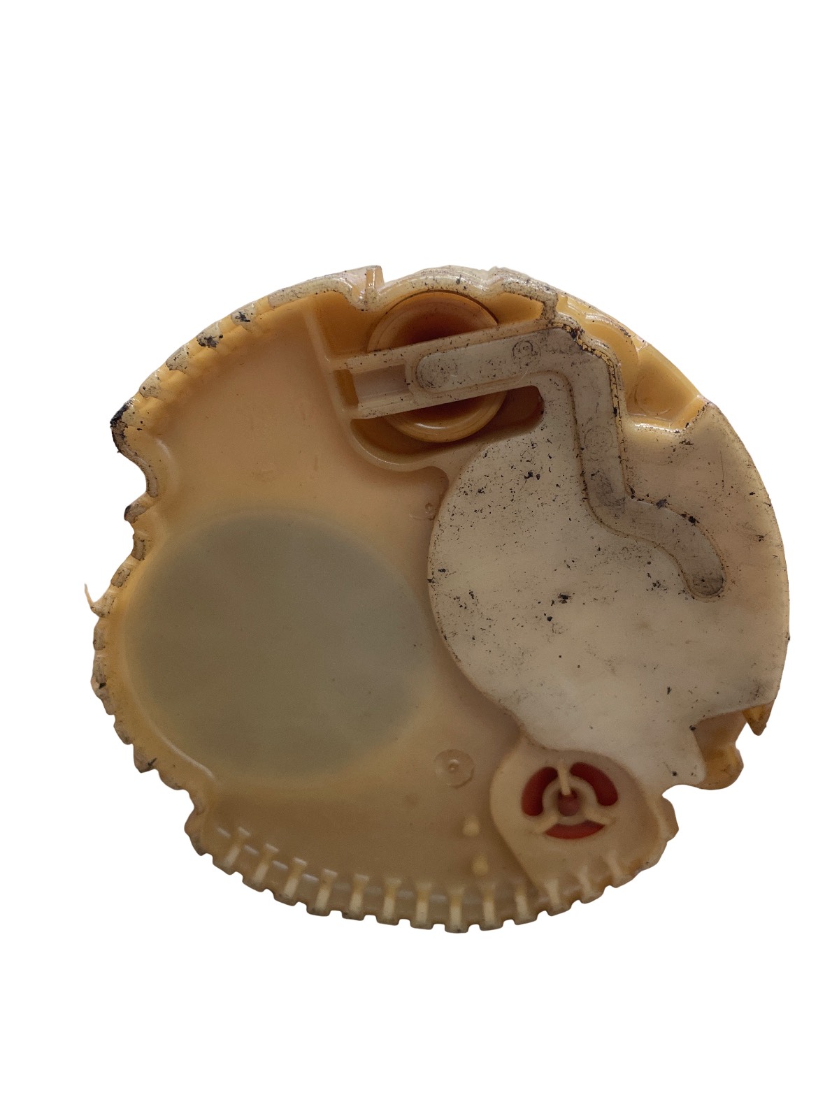 Miniatura 5