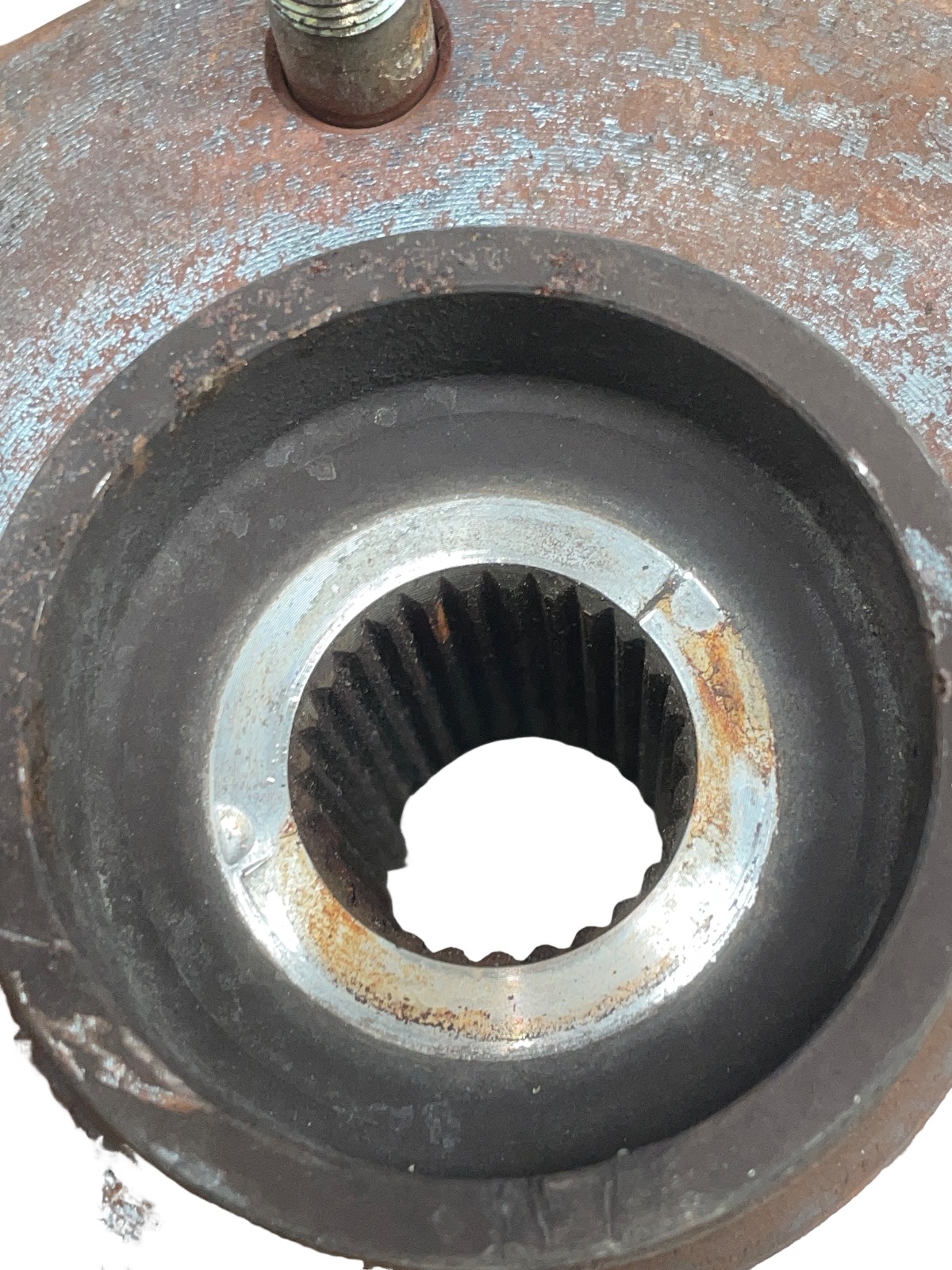 Miniatura 7