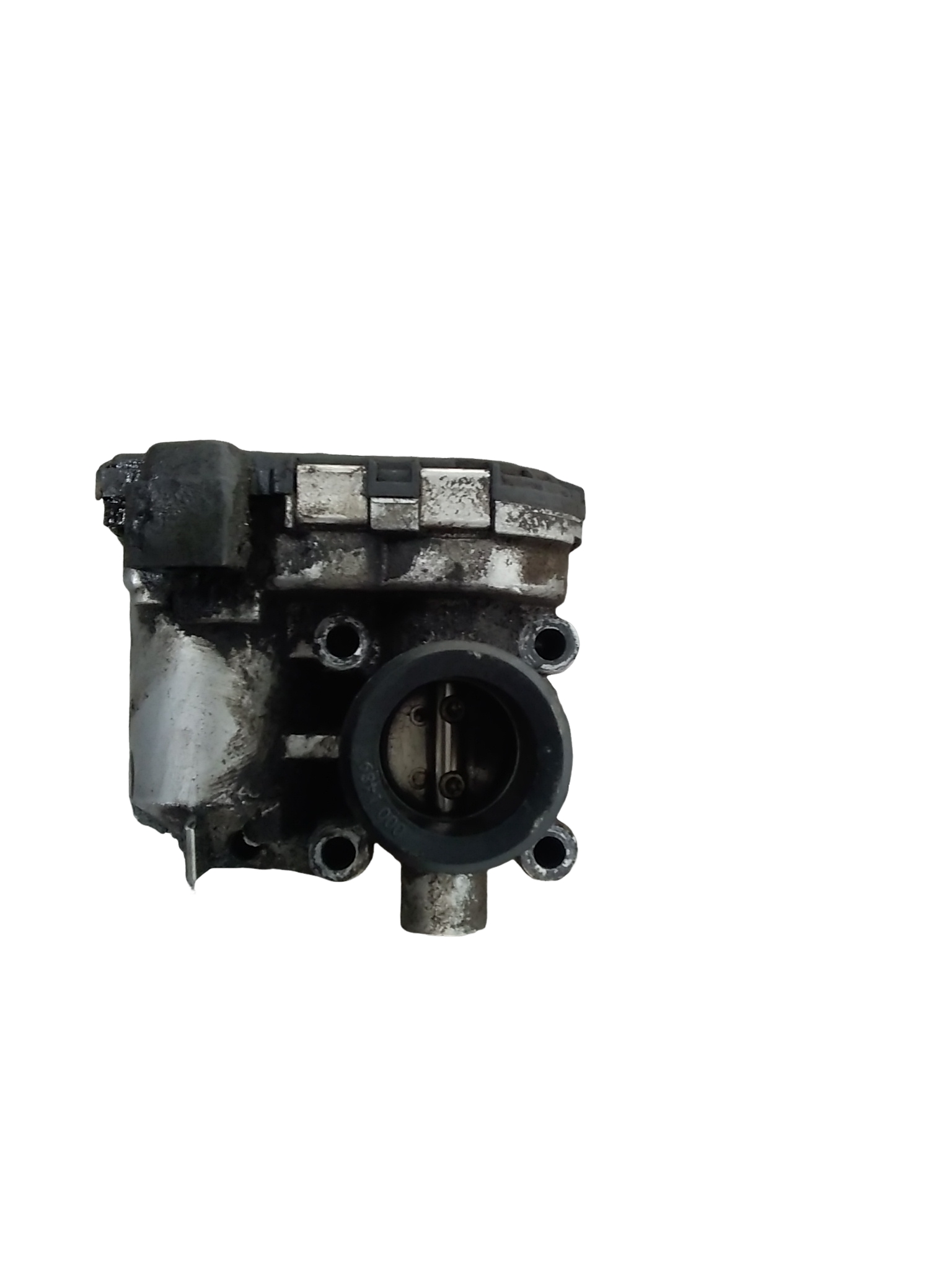 Miniatura 6