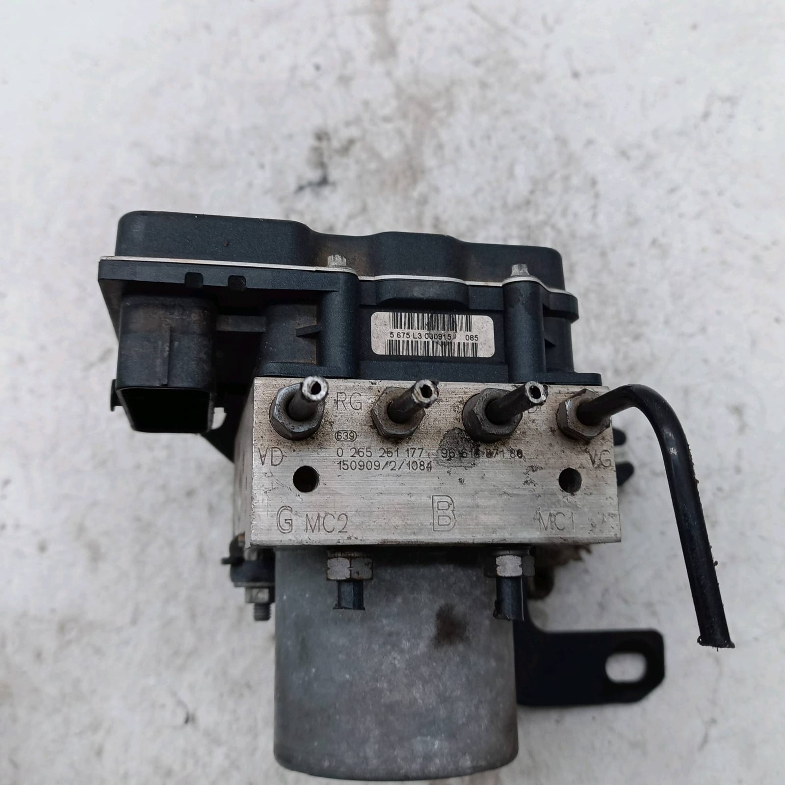 Miniatura 6