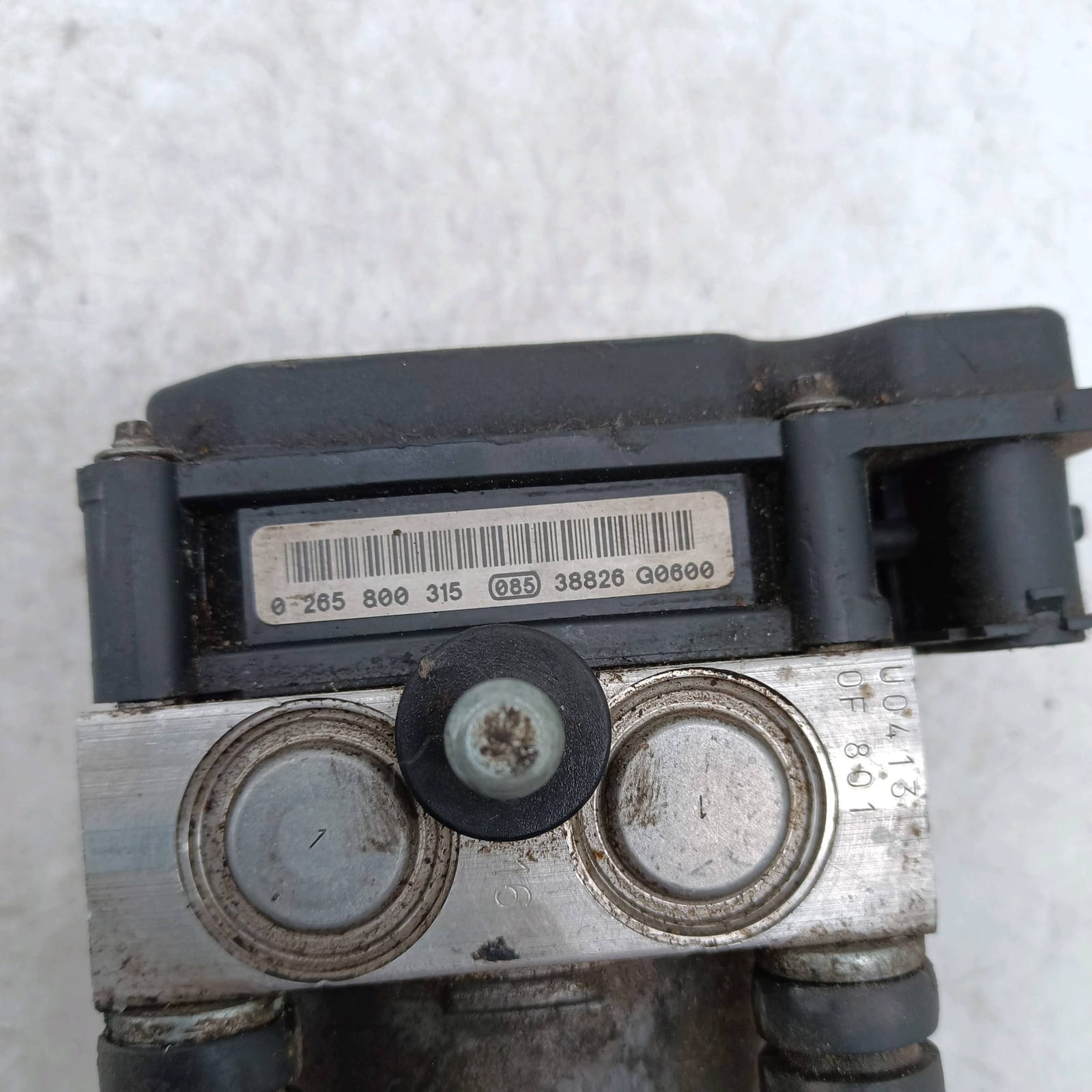 Miniatura 7