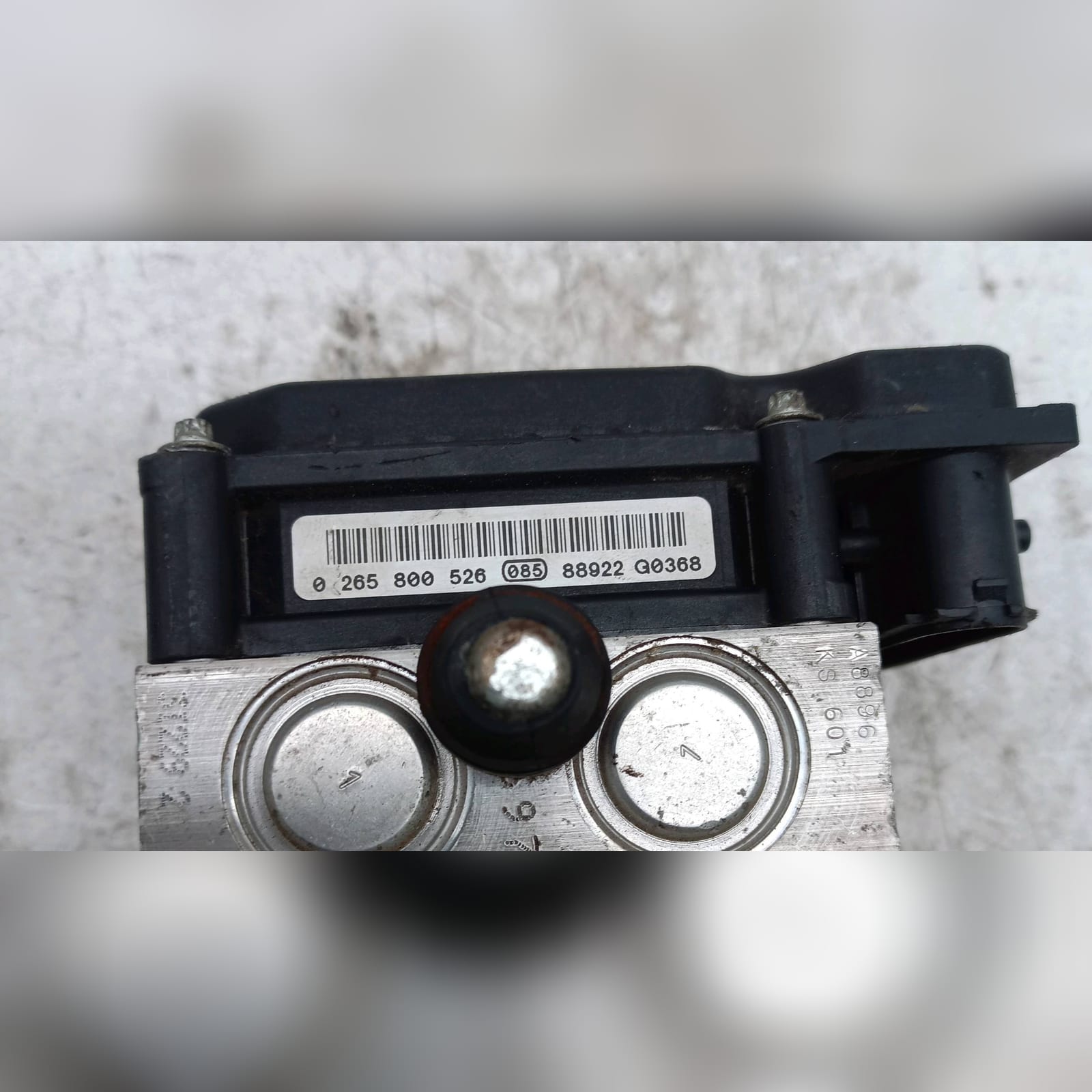 Miniatura 6