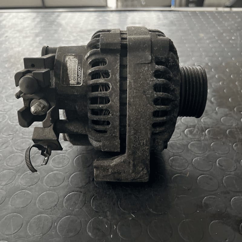 Miniatura 3