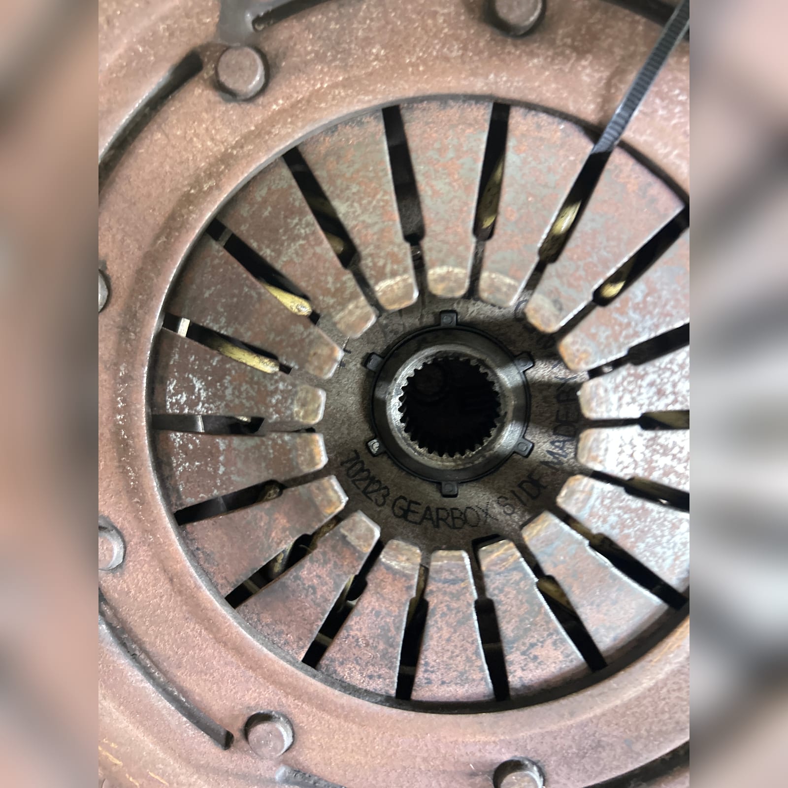 Miniatura 8