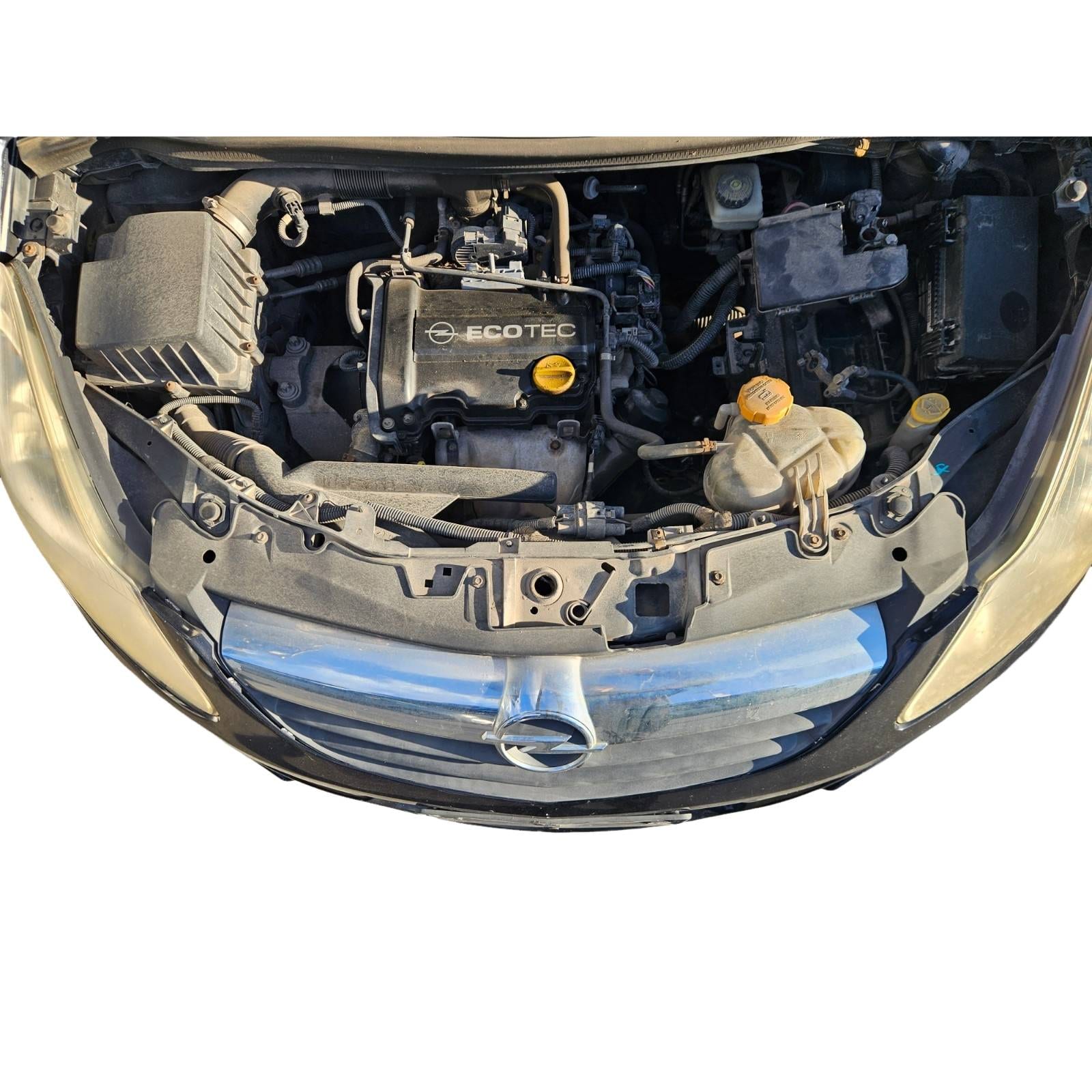 Miniatura 5