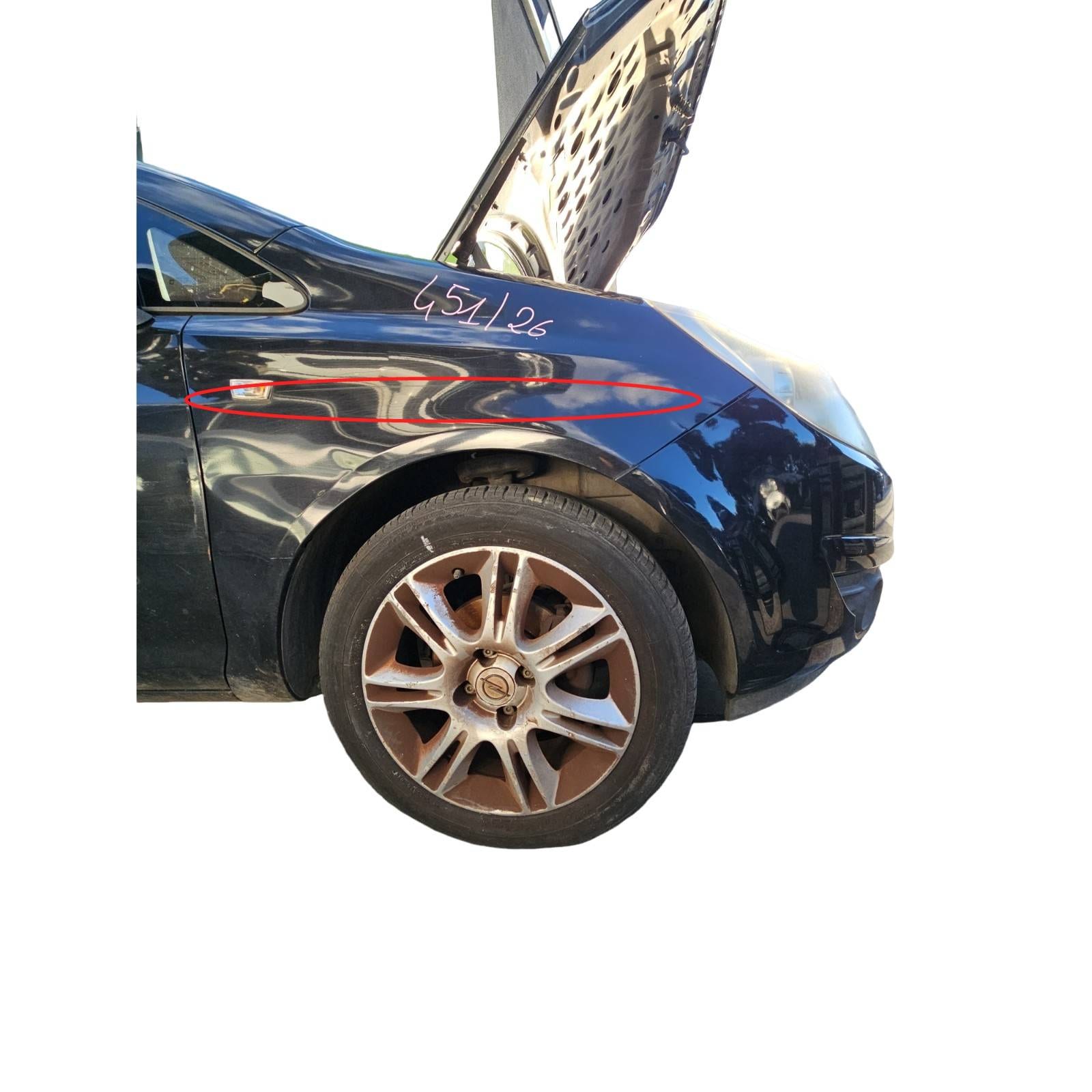Miniatura 10