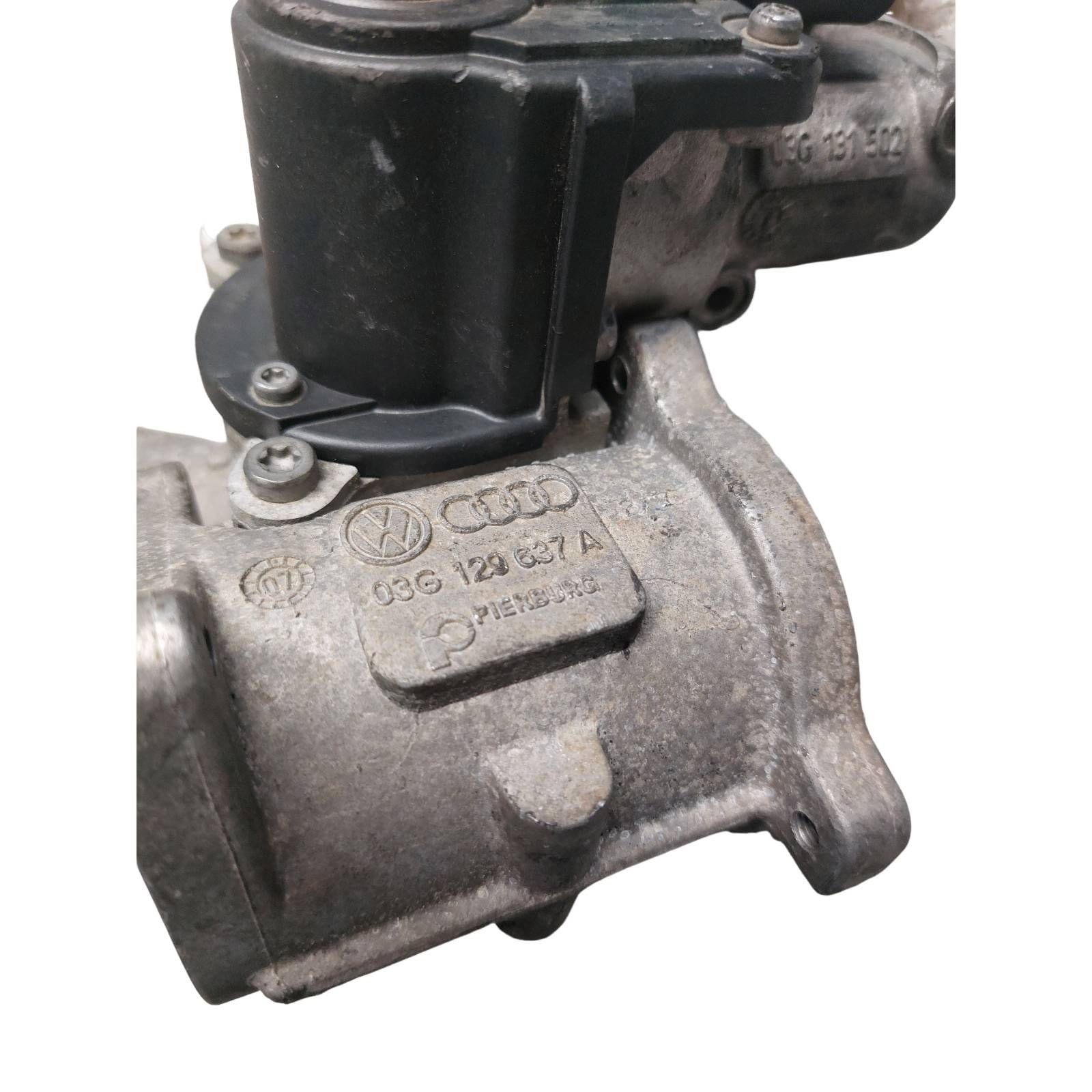 Miniatura 9