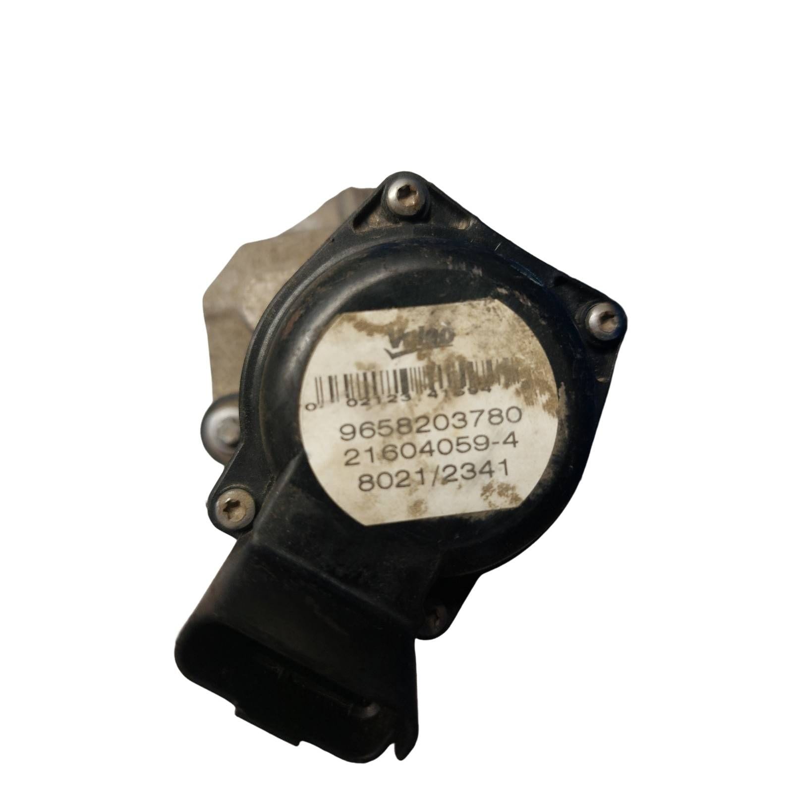 Miniatura 7