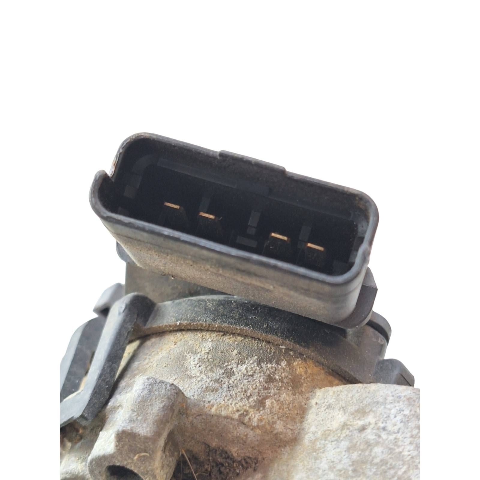 Miniatura 6