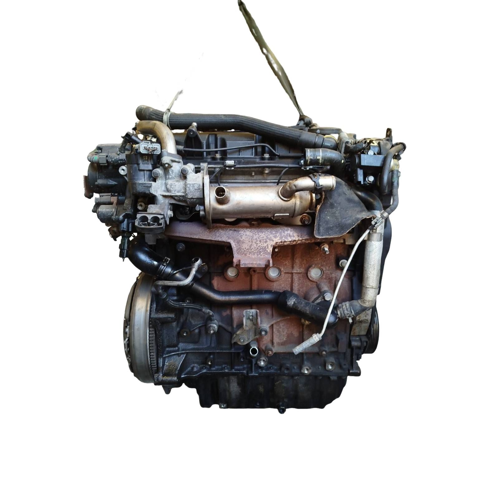 Miniatura 7