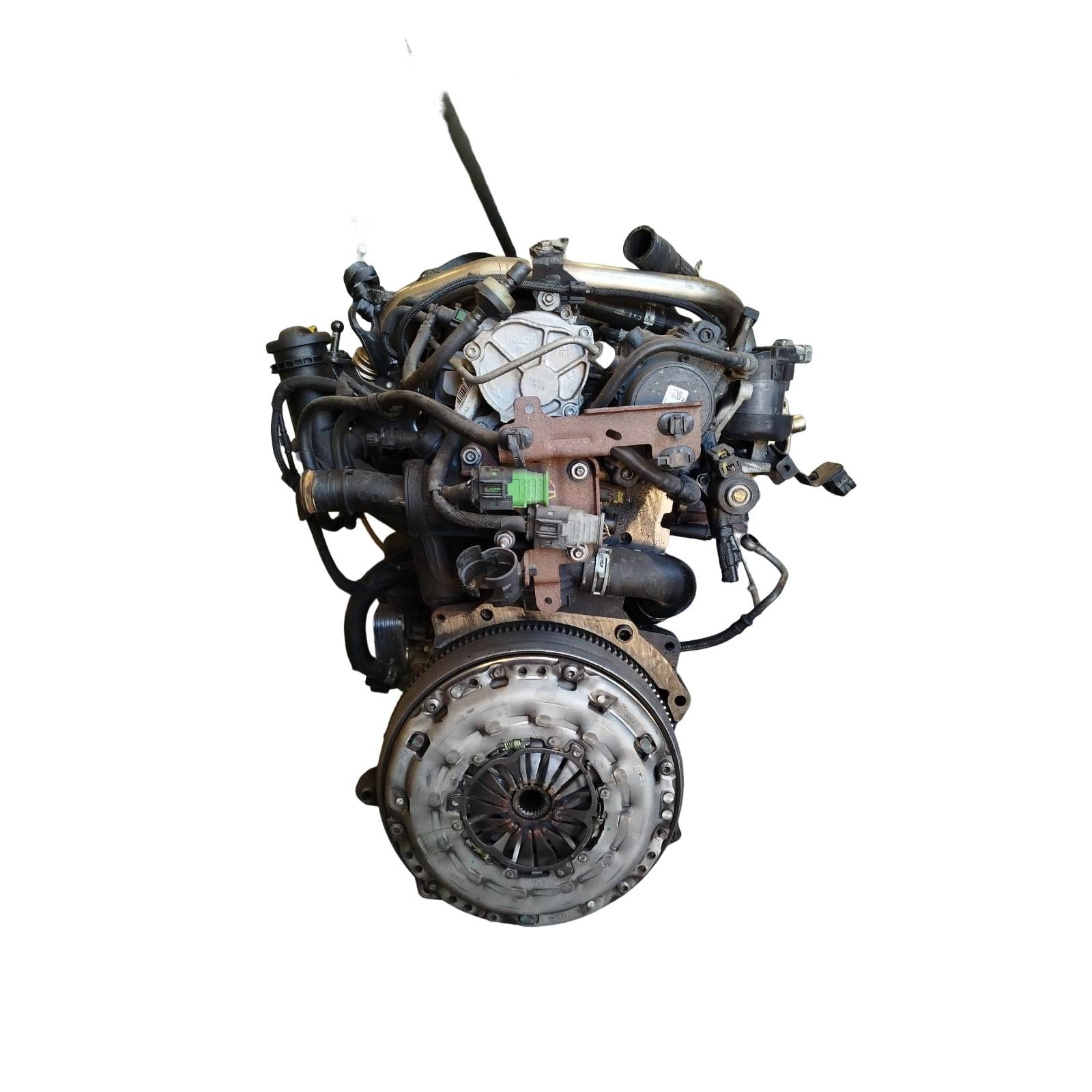 Miniatura 8