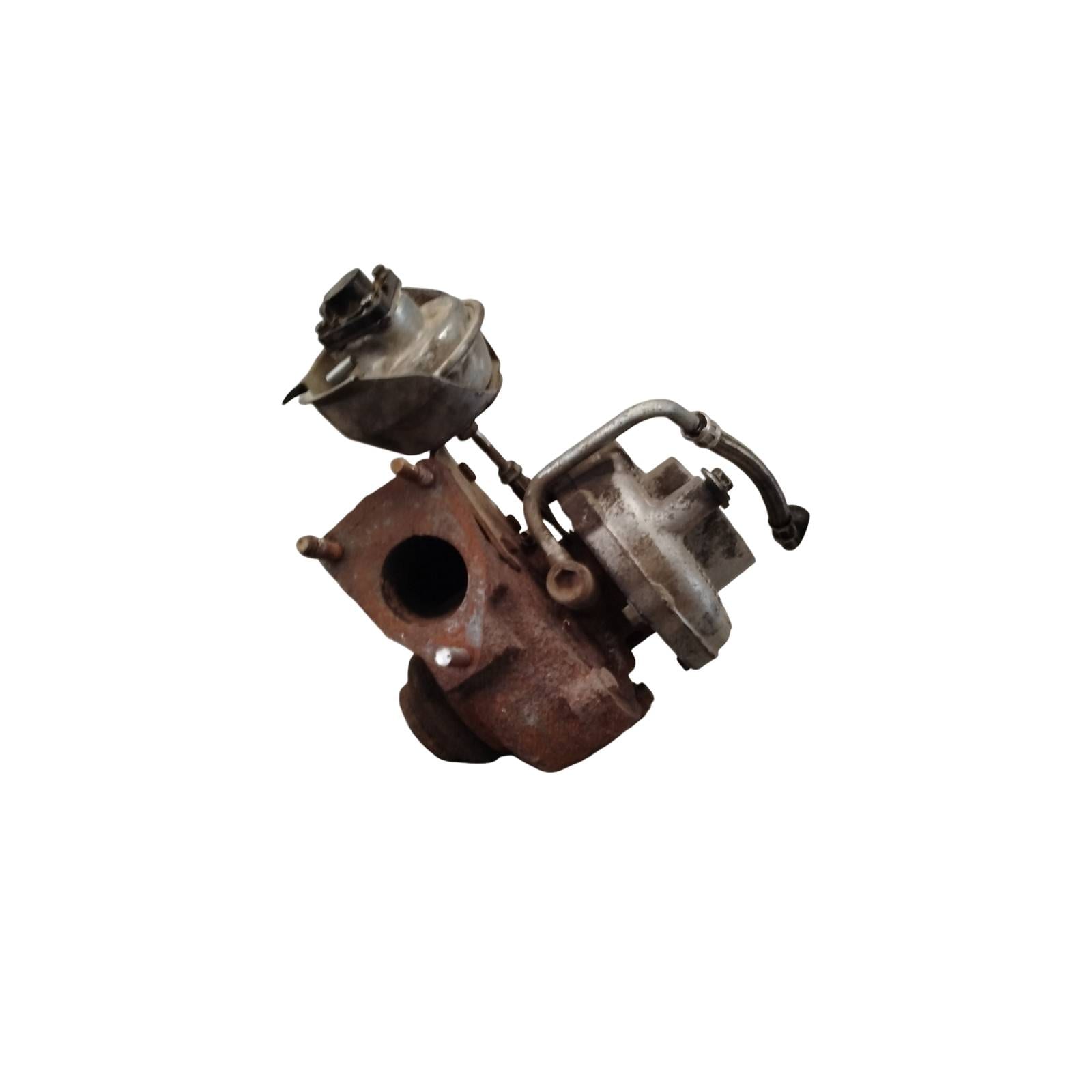 Miniatura 7
