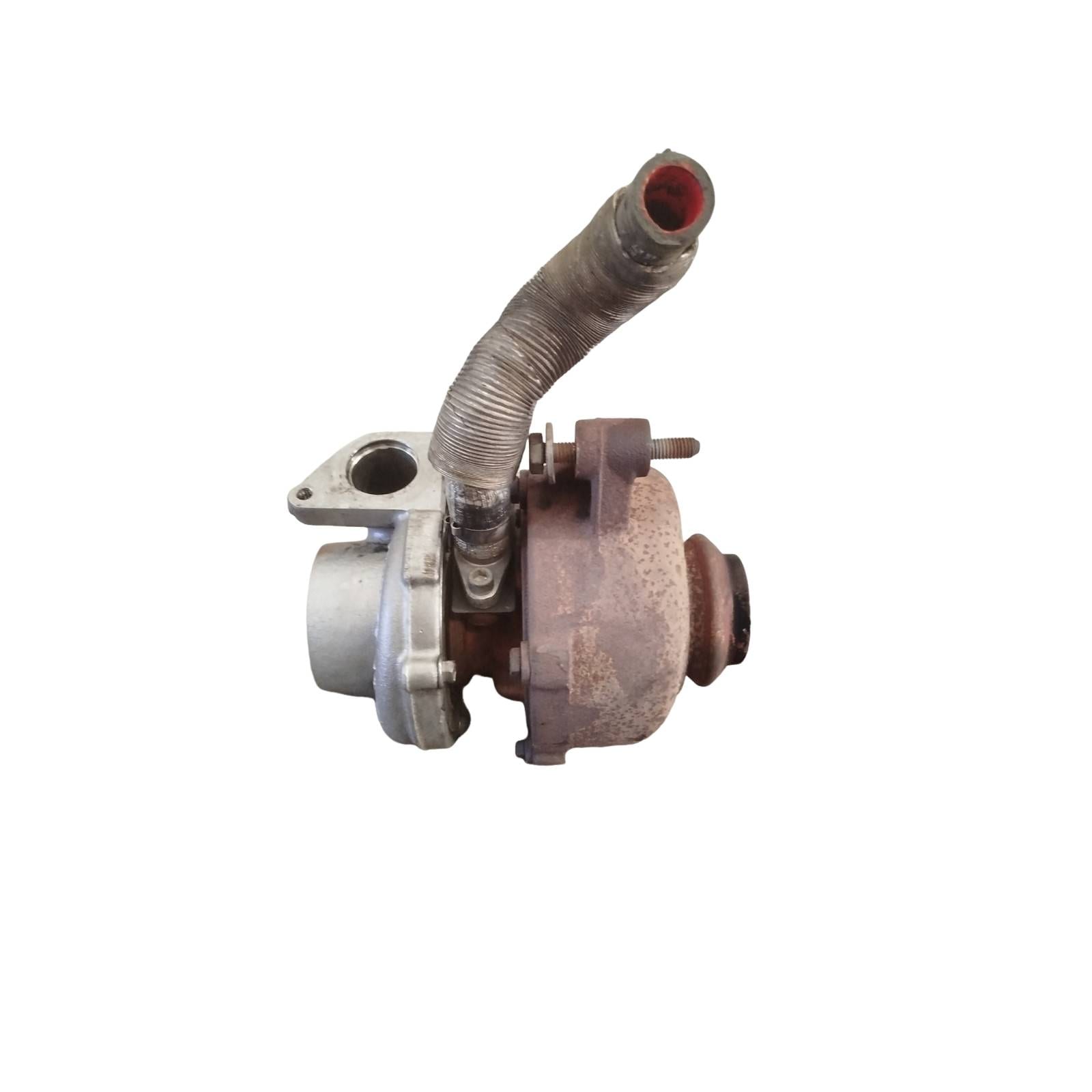 Miniatura 7