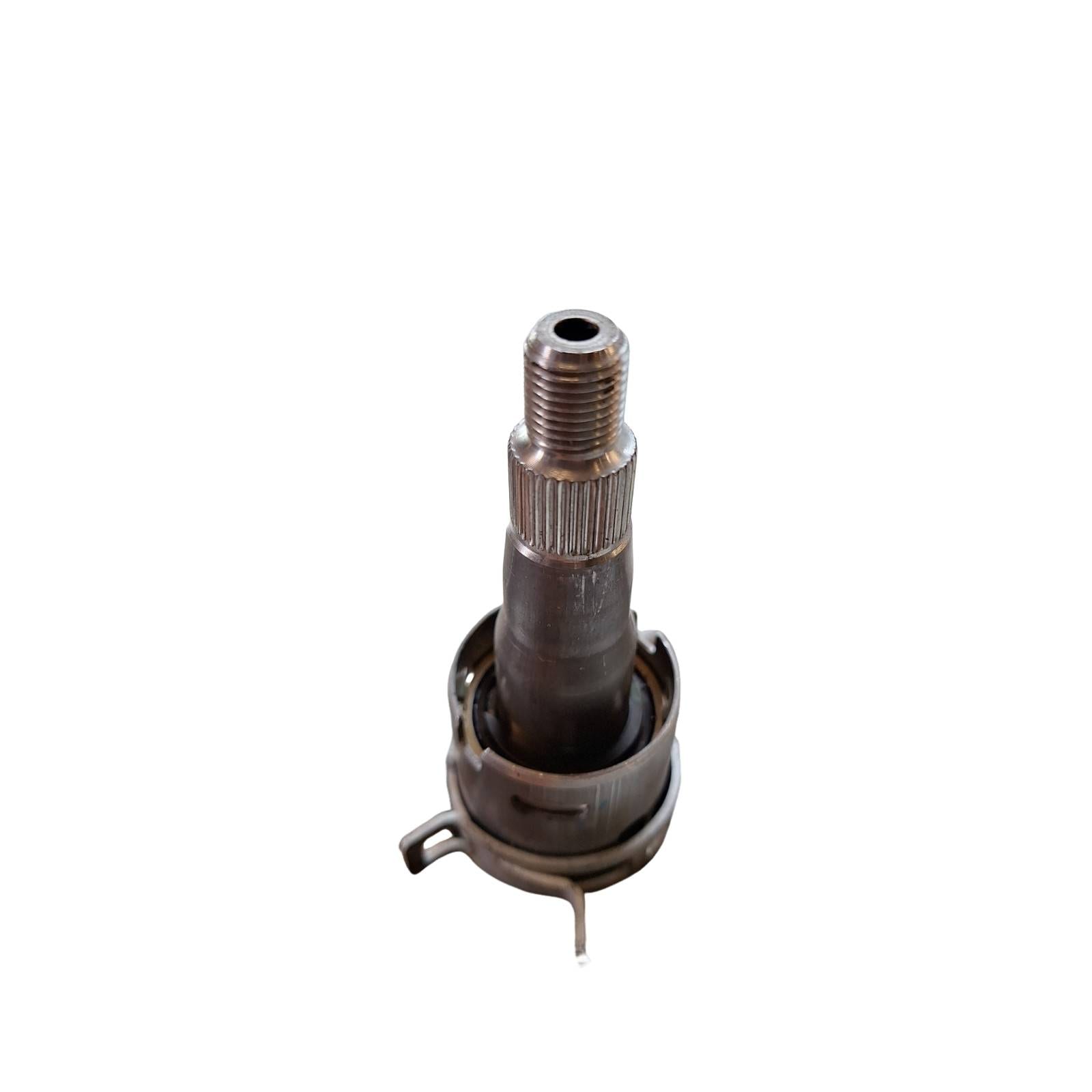 Miniatura 9