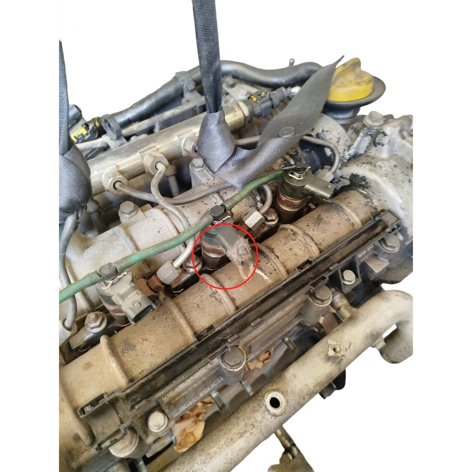 Miniatura 7
