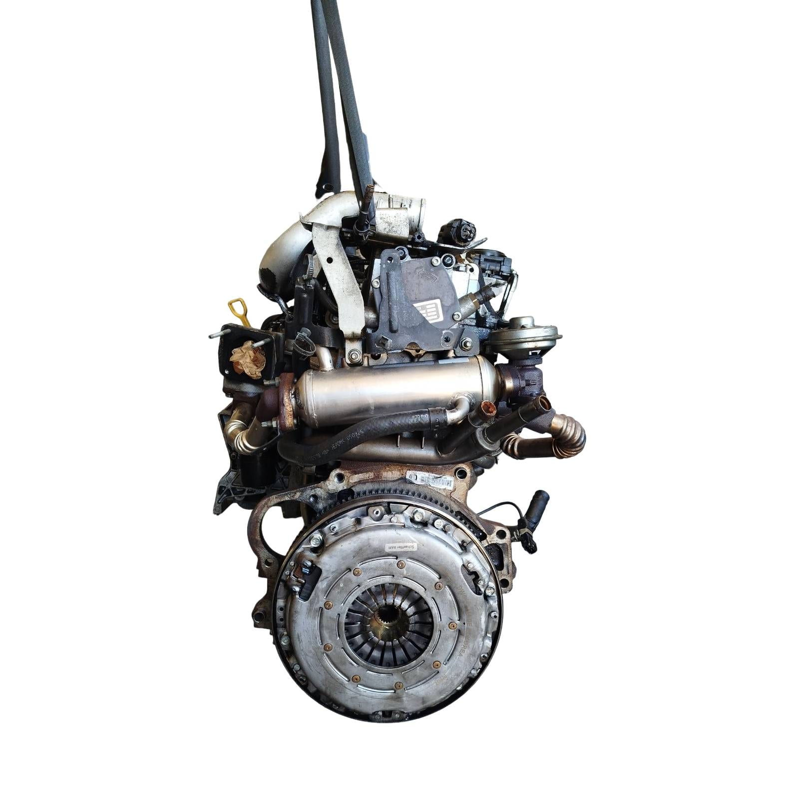 Miniatura 6