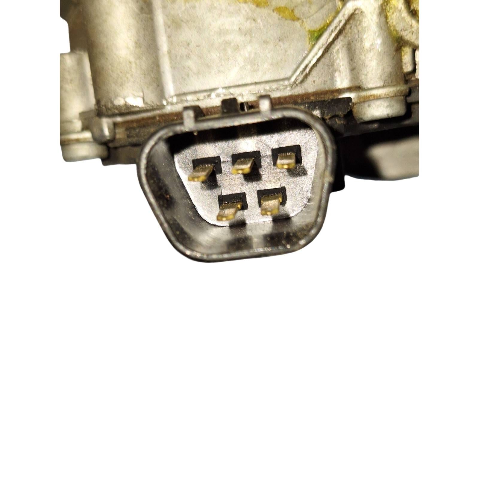 Miniatura 6
