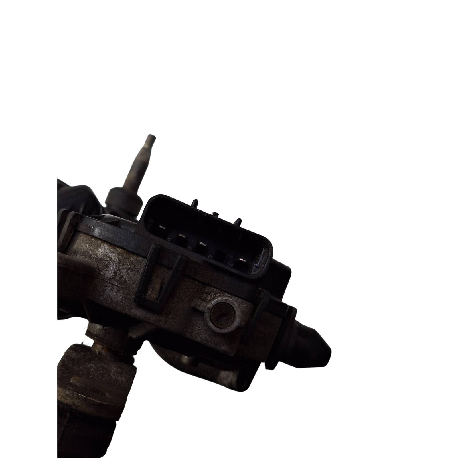 Miniatura 6