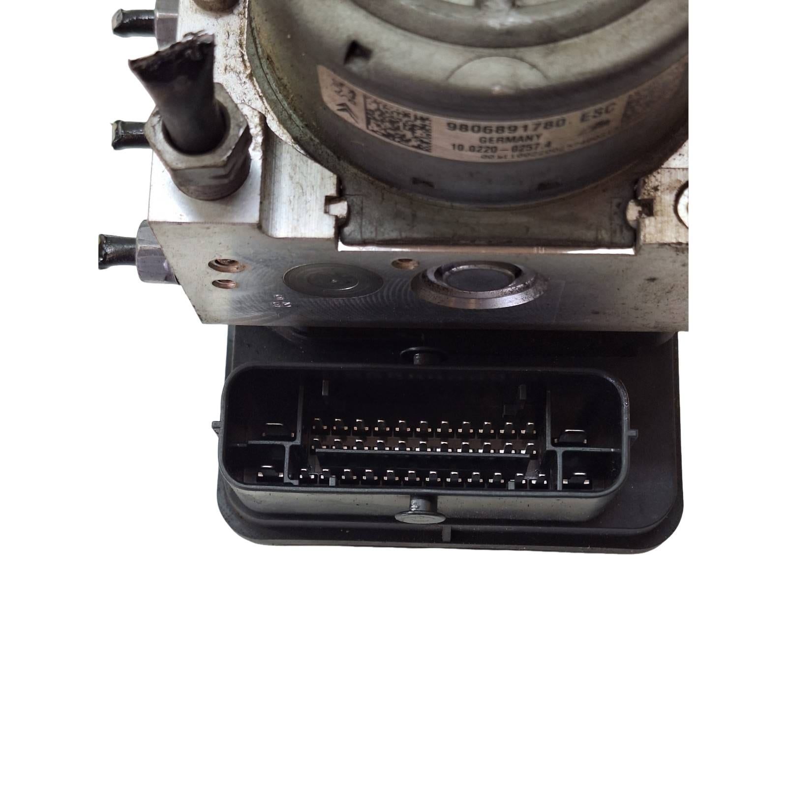 Miniatura 3