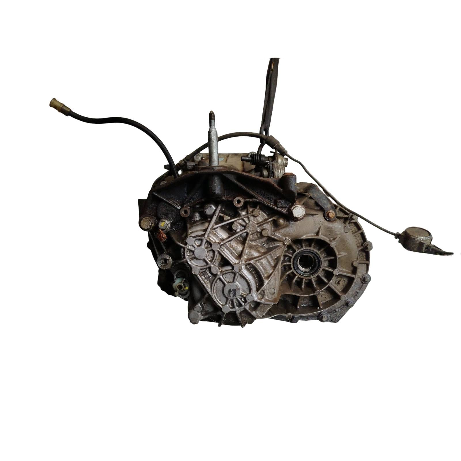 Miniatura 5