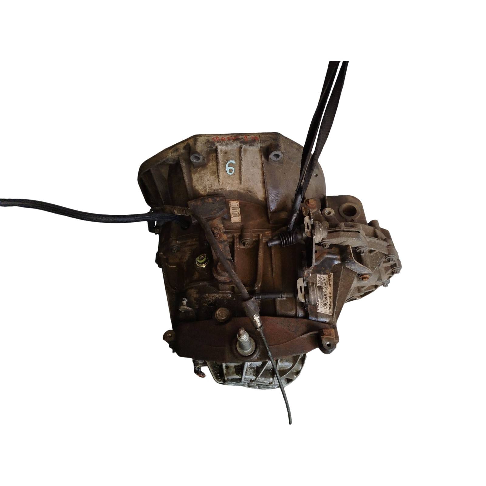 Miniatura 6