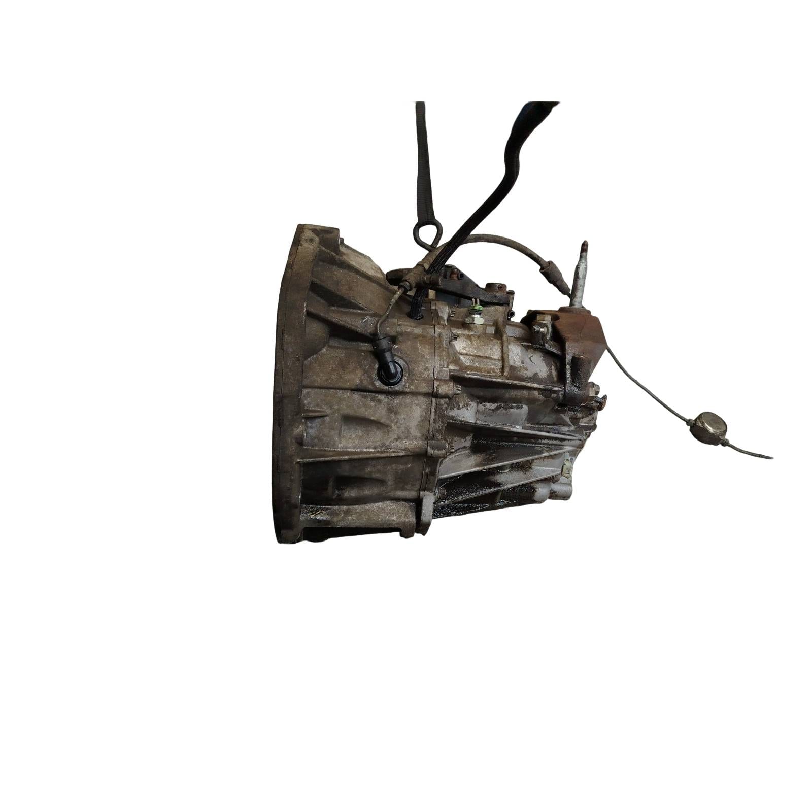 Miniatura 8