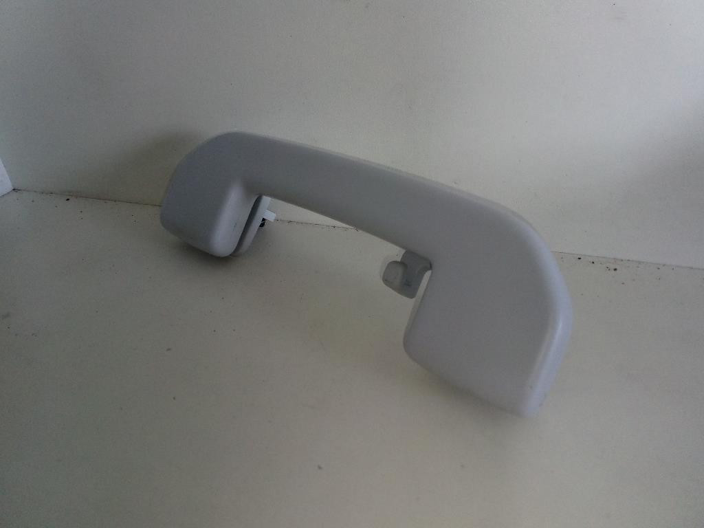 Maniglia Int. Tetto 98012429PR Usato