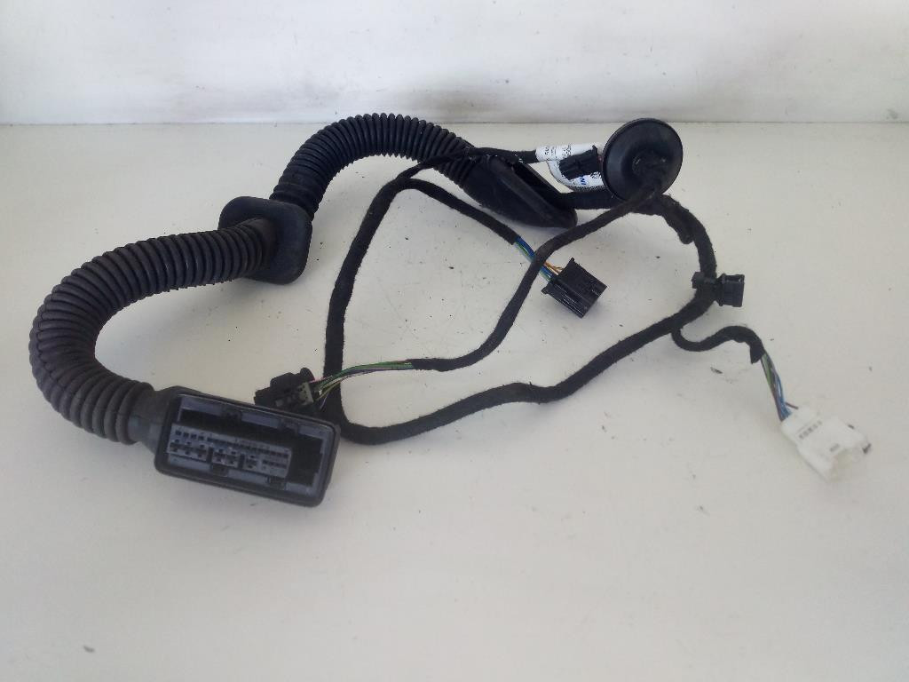 Cablaggio Porta Post. Sinistro A1765405608 Usato