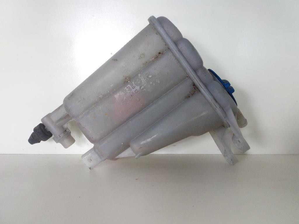 vaschetta compensazione radiatore - Immagine 1 di 5