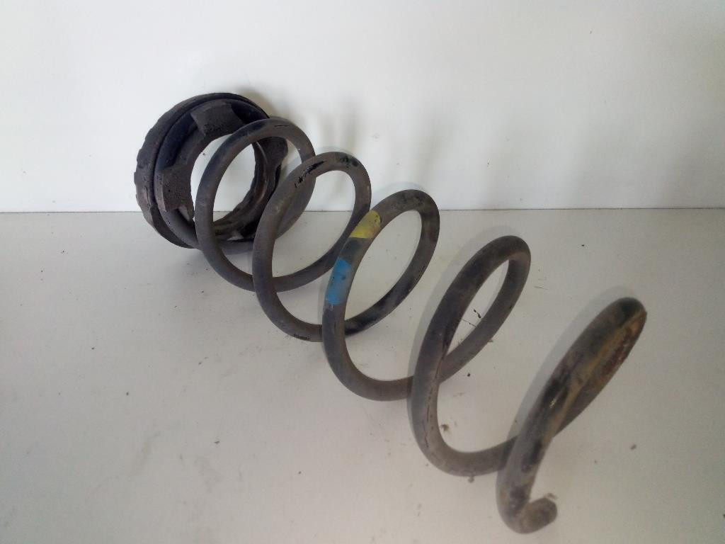 Molla Sosp. Post. Destro 52060143 Usato
