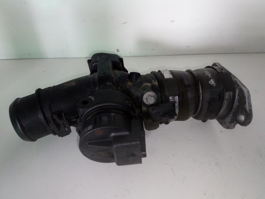 Corpo Farfallato 1610874680 Usato