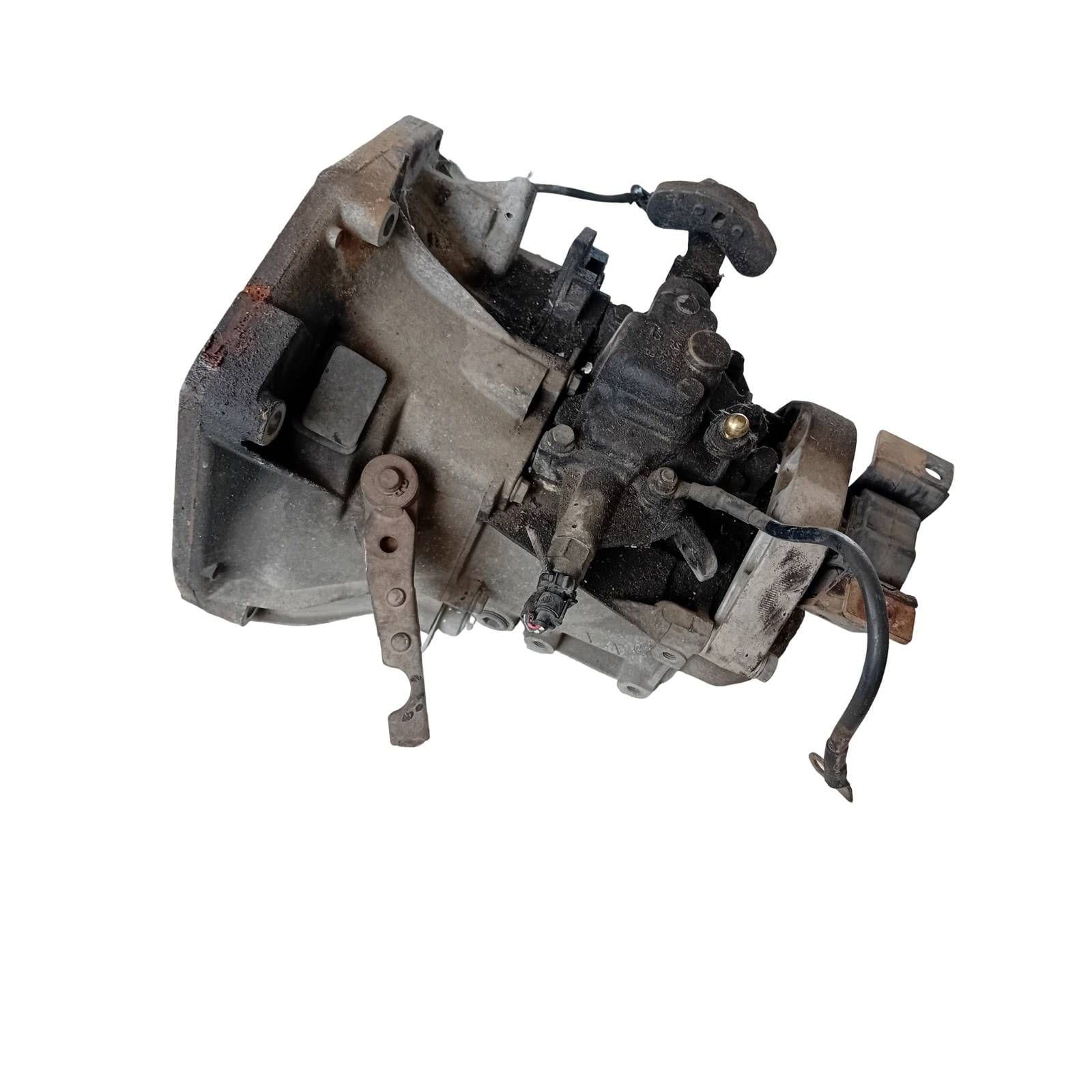 Miniatura 5
