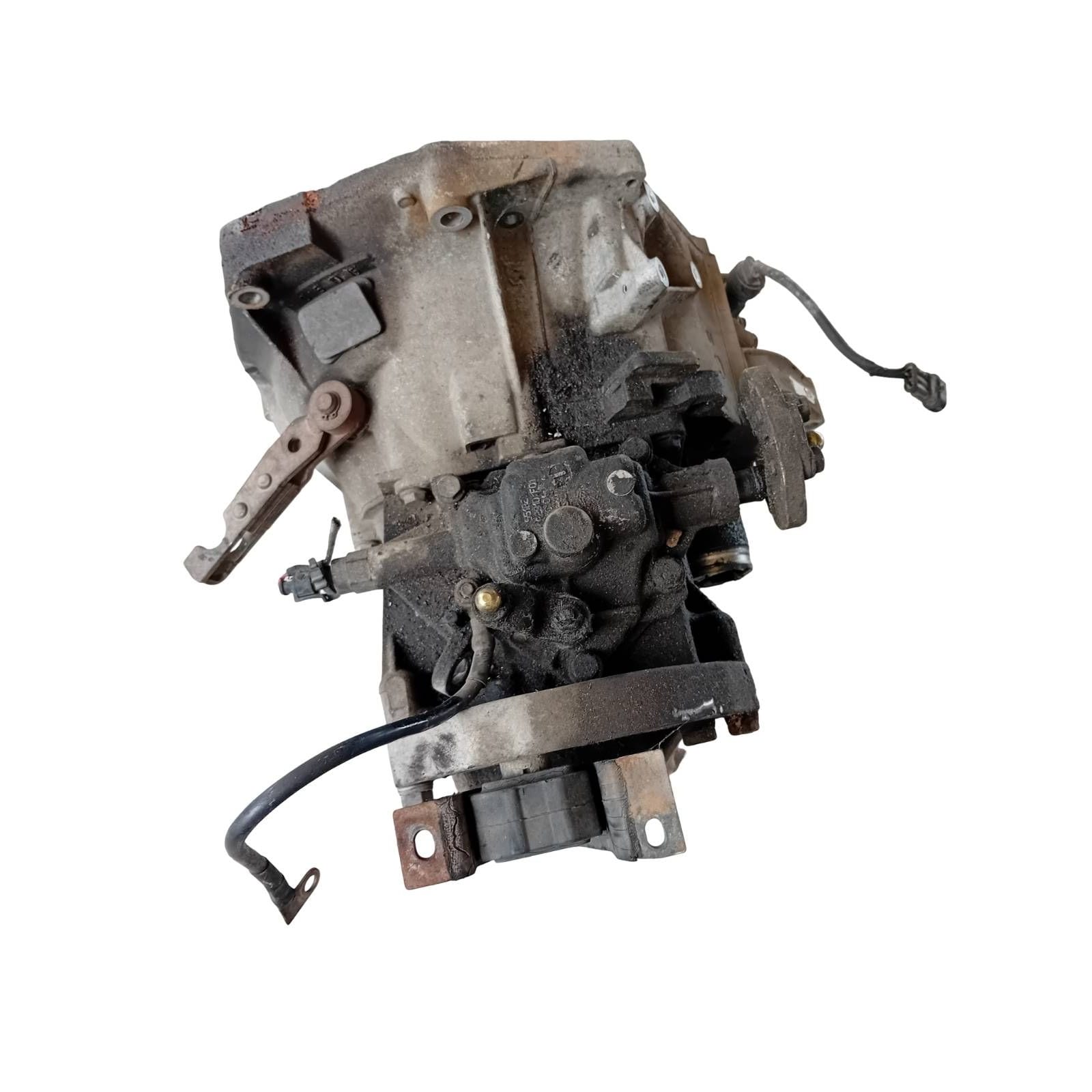 Miniatura 6