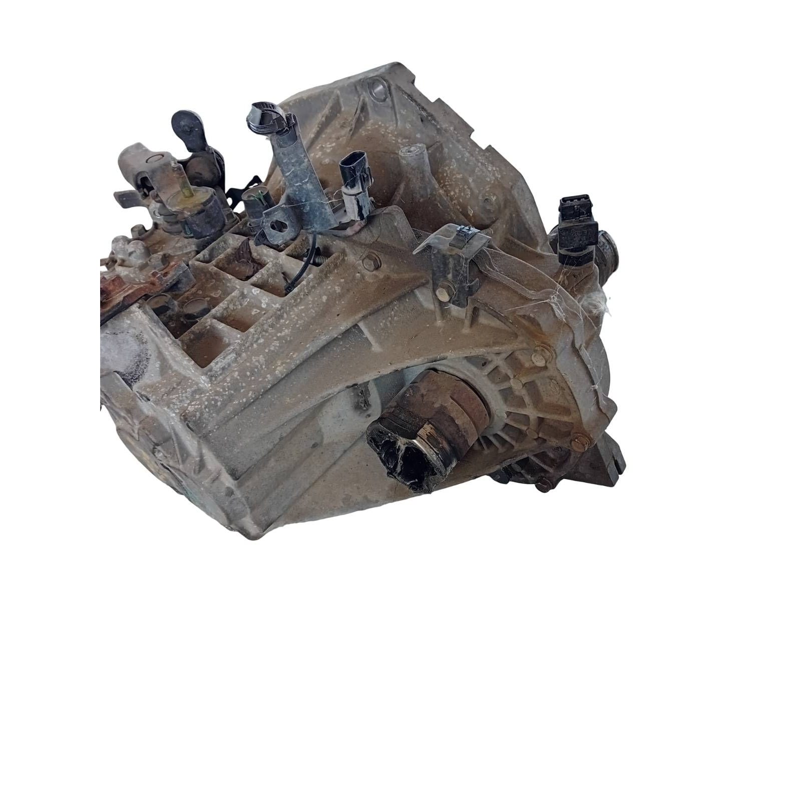 Miniatura 4