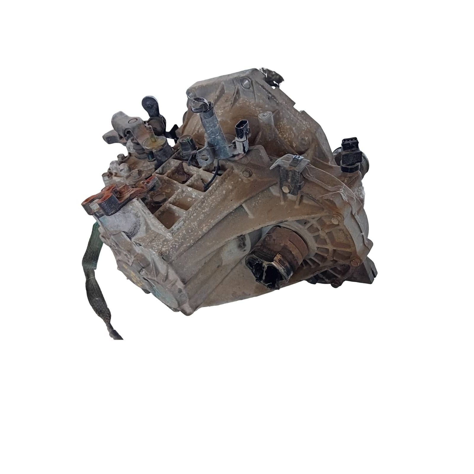 Miniatura 5
