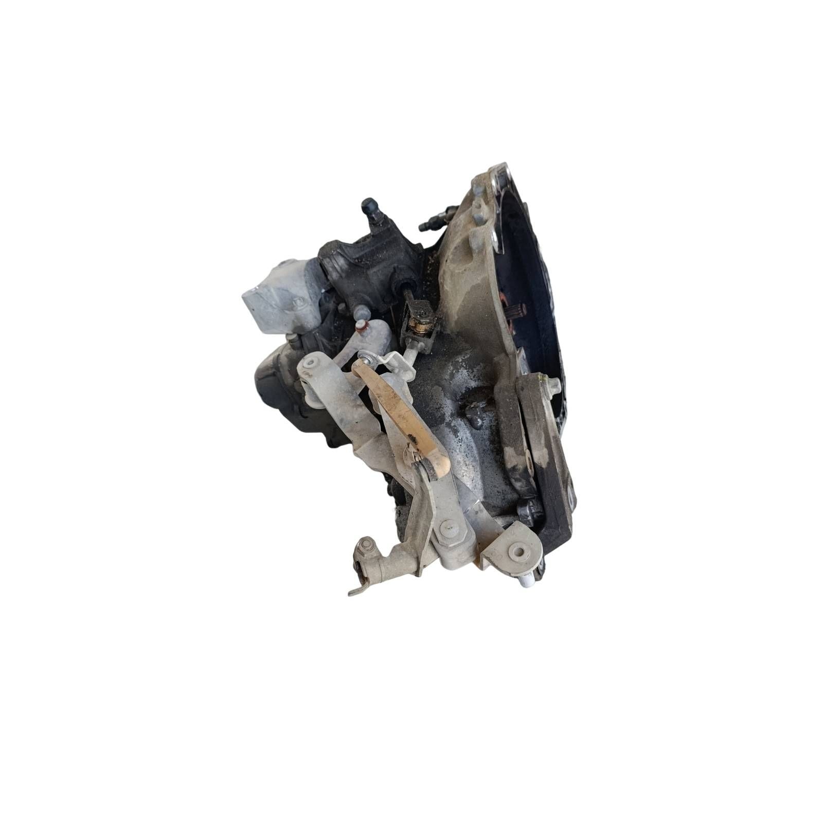 Miniatura 6