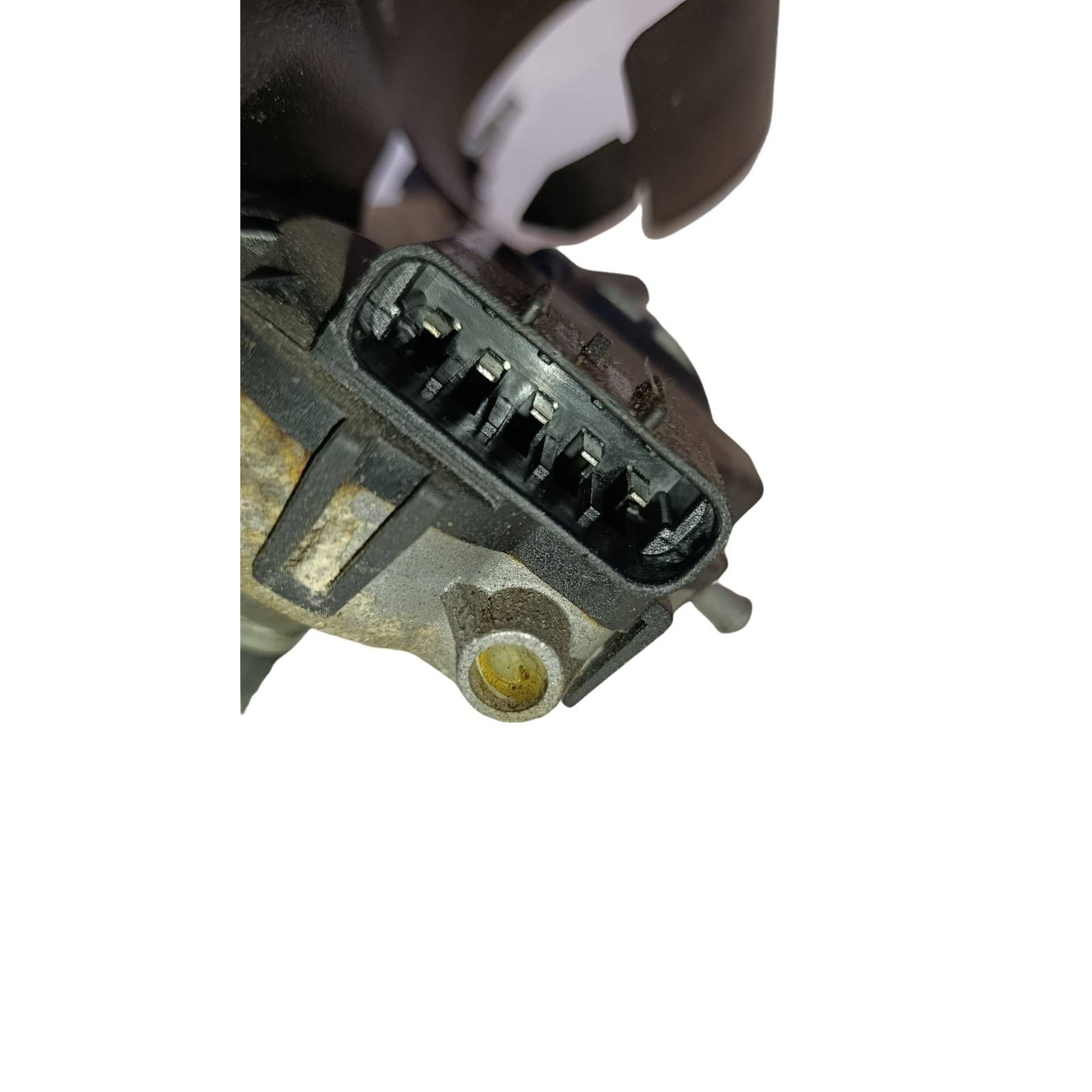 Miniatura 11
