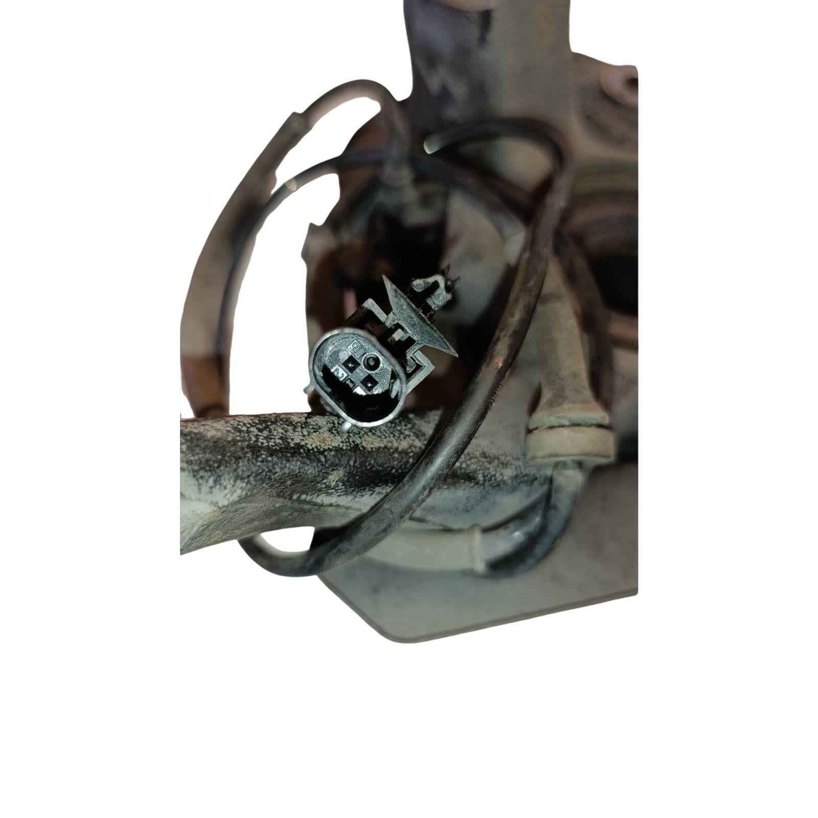 Miniatura 6