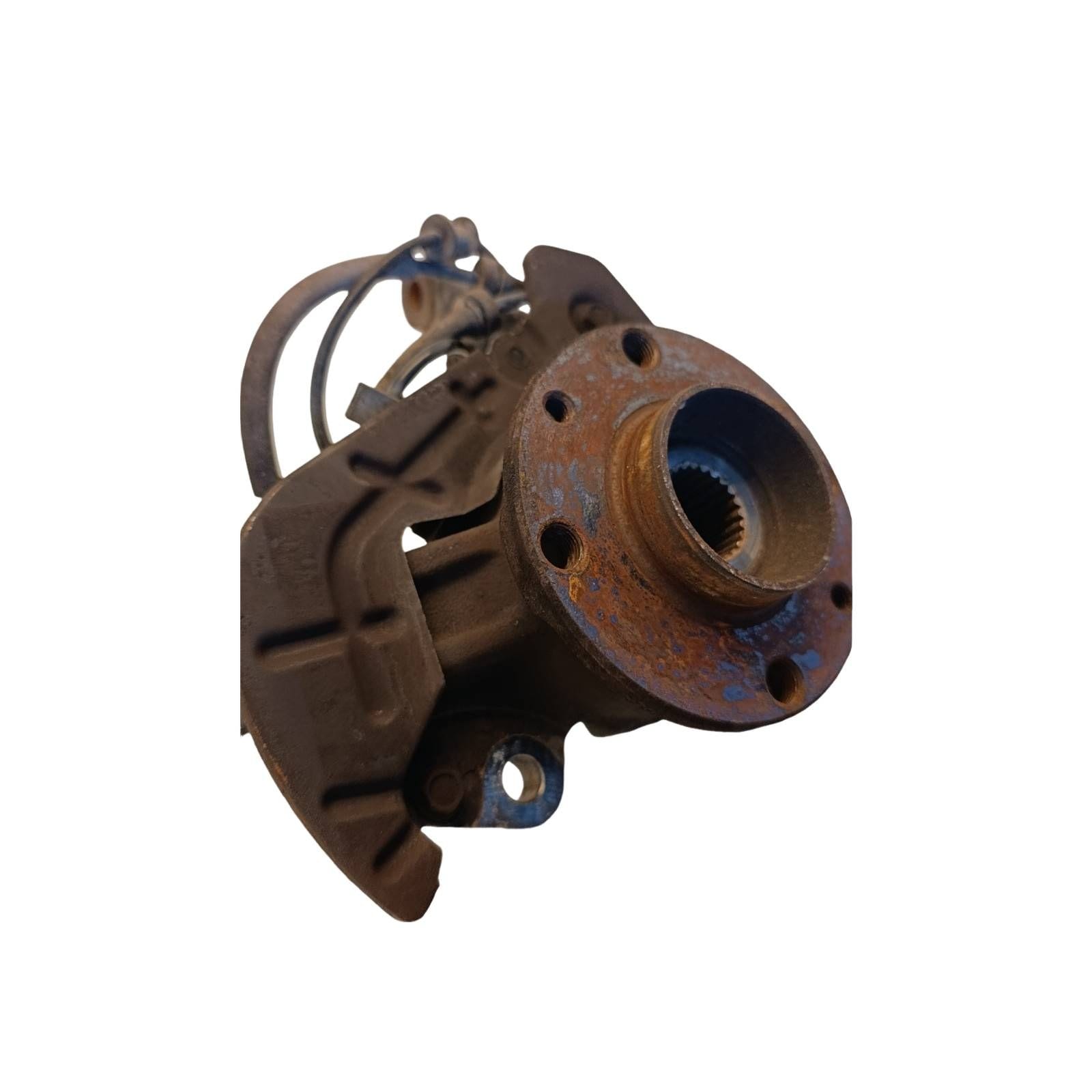 Miniatura 13