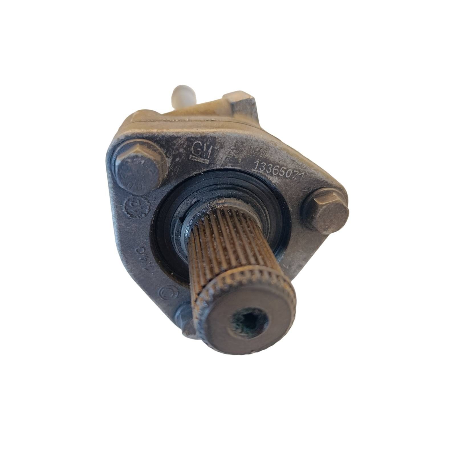 Miniatura 6